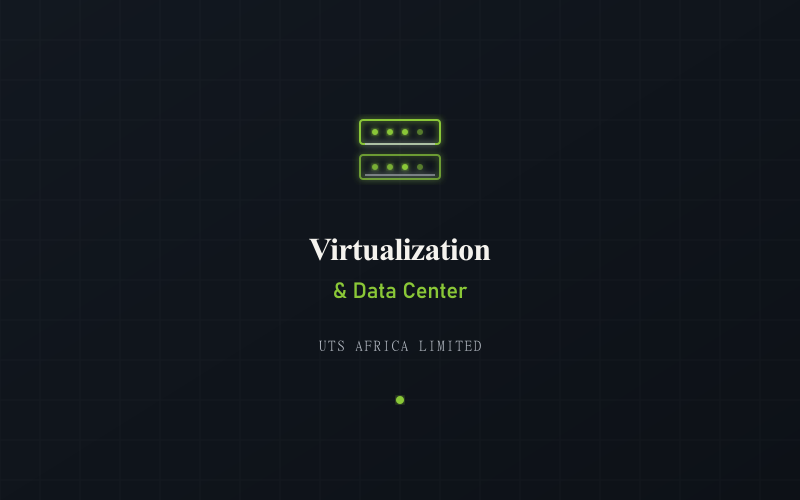 Virtualization interface